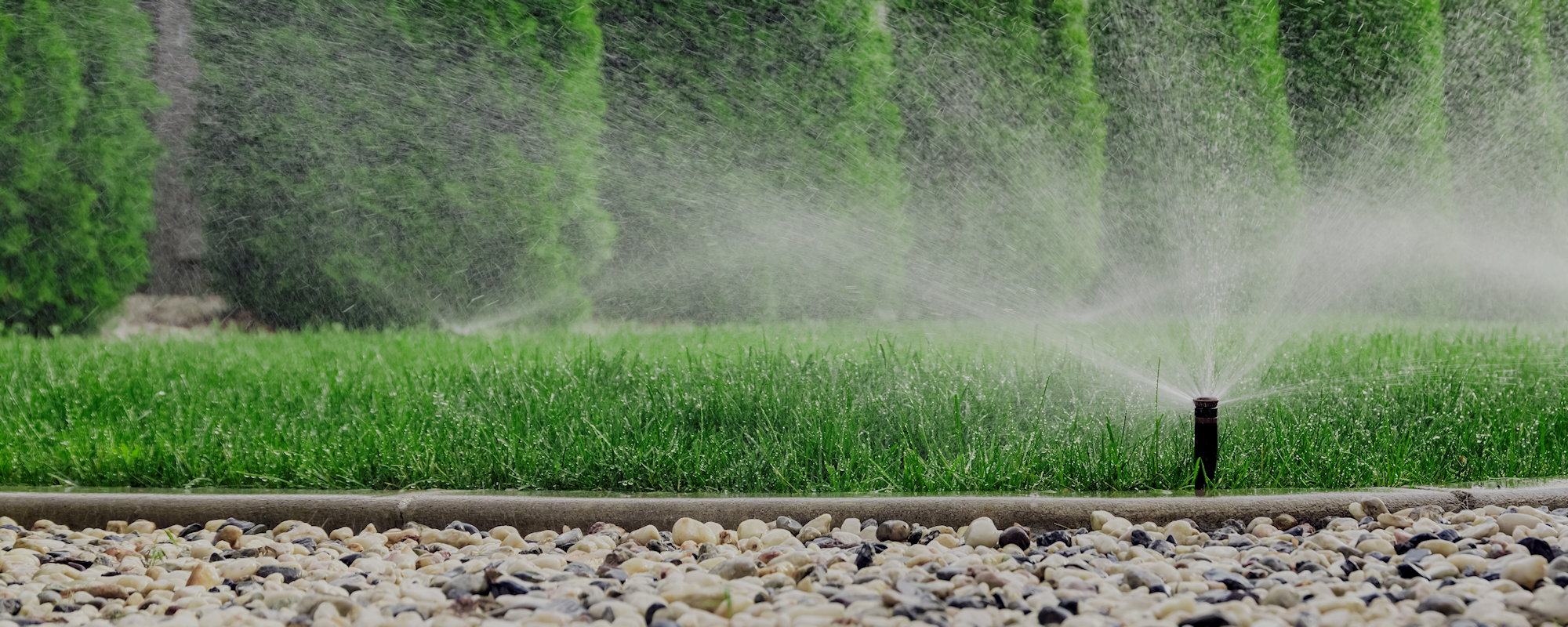 Water Rights Dispute